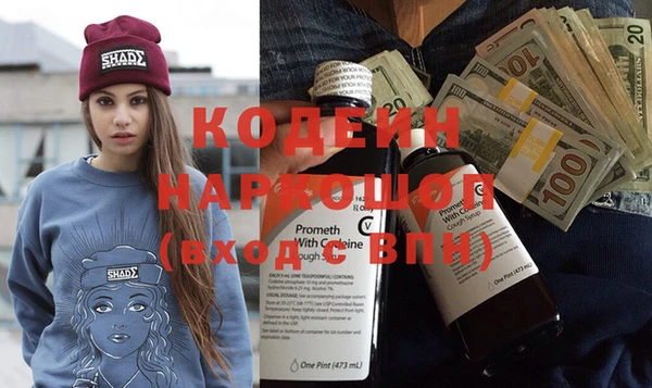 крисы Сатка