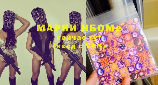 крисы Сатка