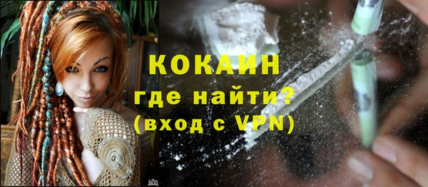крисы Сатка