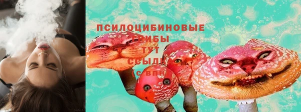 СК Саяногорск
