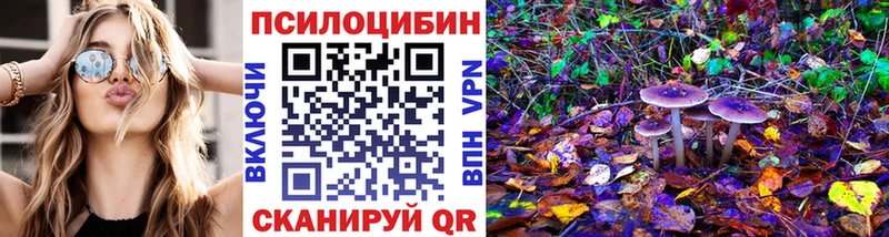 Псилоцибиновые грибы Psilocybe  магазин  наркотиков  МЕГА ссылки  Аксай 
