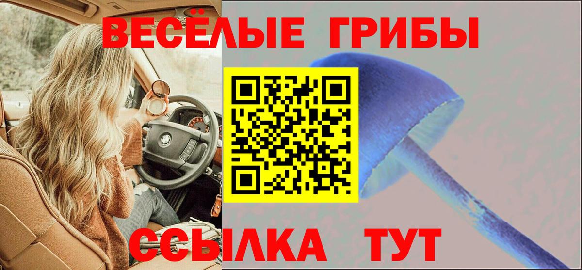 Галлюциногенные грибы MAGIC MUSHROOMS Аксай